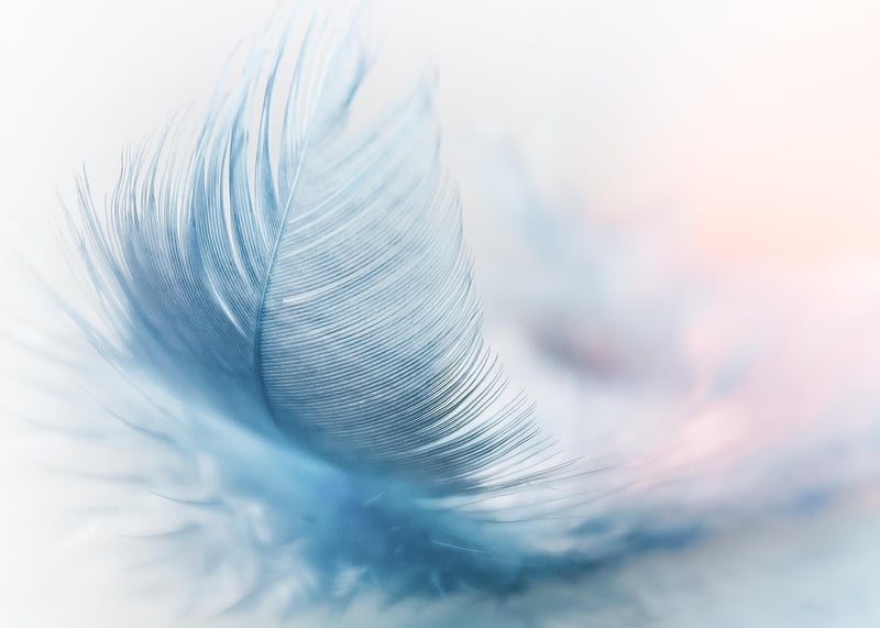 Feather-Ruffling Statements